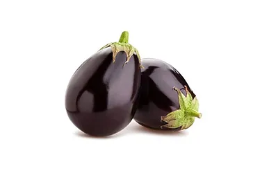 Brinjal