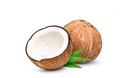 Coconut