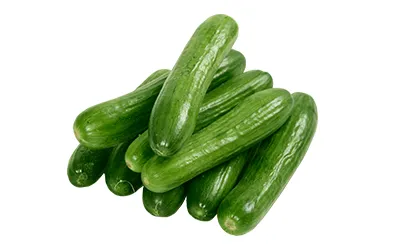 Cucumber