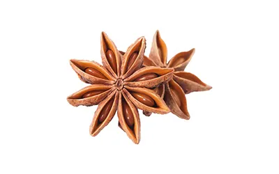Star Anise