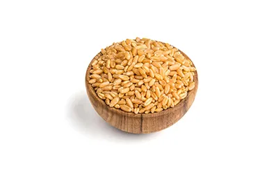 Wheat